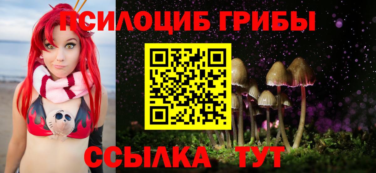 Павловский Посад  Псилоцибиновые грибы прущие грибы  дарнет шоп  Вход с VPN 